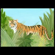 Year of the Tiger
