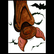 Weeble Bat