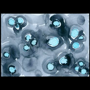 Blue Salt Pools
