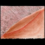 Texture in Brown