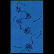 Clusters Moleskine
