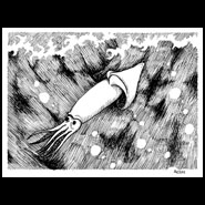 Squid a la Gorey