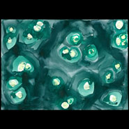 Green Salt Pools