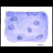 Microscopic