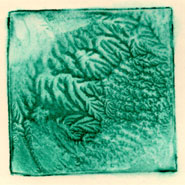 Roots of the Earth