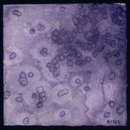 Salt Cell 2