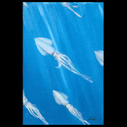 School of Squid