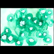Water Lilies 1