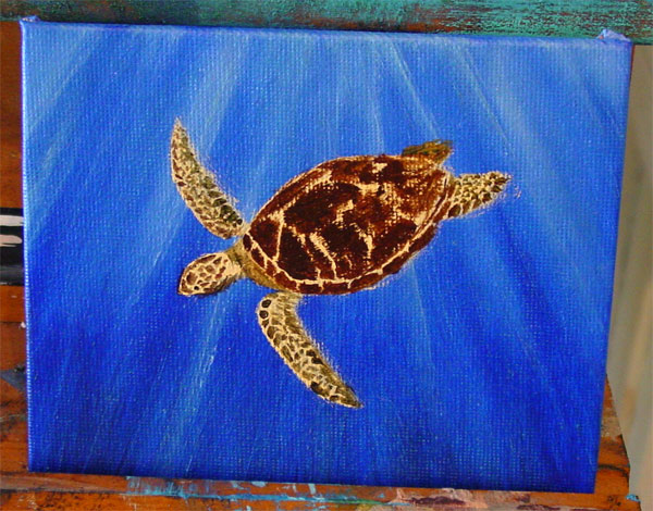 Green Sea Turtle, step 3, by Amy Crook