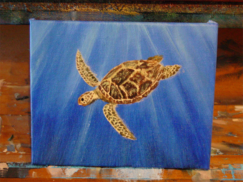 Green Sea Turtle, step 4, by Amy Crook