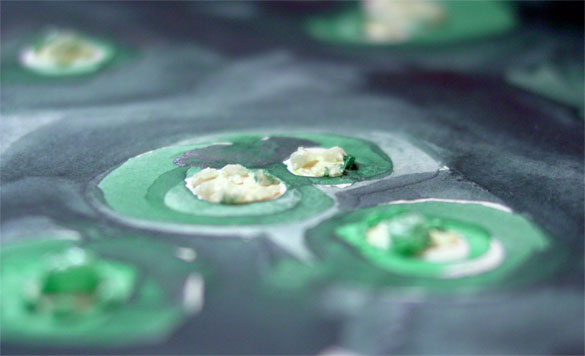 Green Salt Pools, detail, by Amy Crook