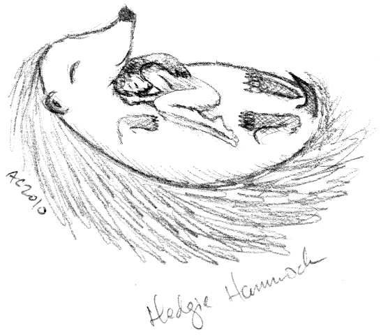 Hedgehog Hammock by Amy Crook