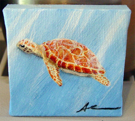 Sea Turtle by Amy Crook