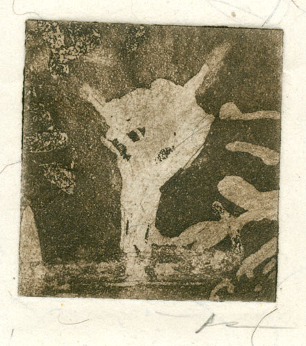 Etching Antemortem Arts Art Writing By Amy Crook