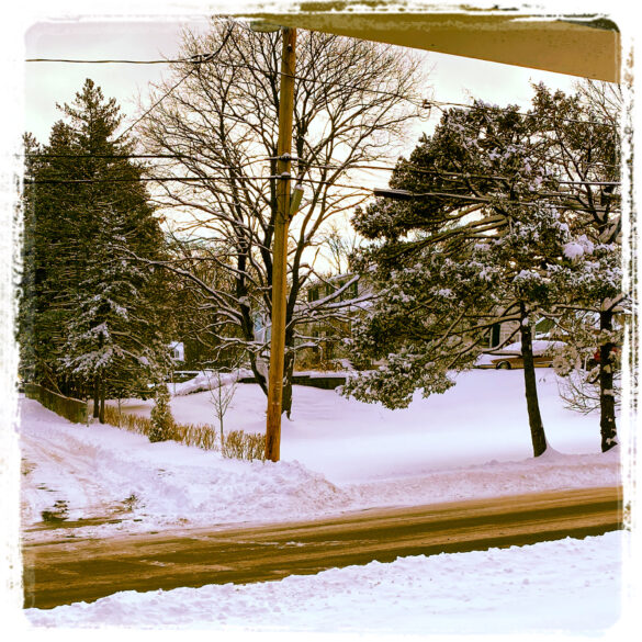 a photograph out a window of trees in winter