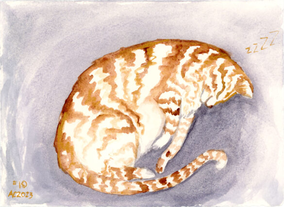 art of a sleeping stripey orange cat