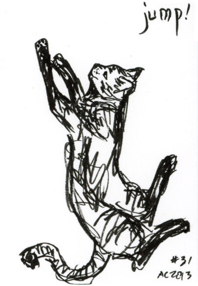 scribbled ink drawing of a cat leaping