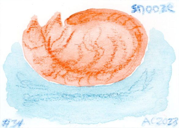 watercolor sketch of an orange cat snoozing on a pastel turquoise rug