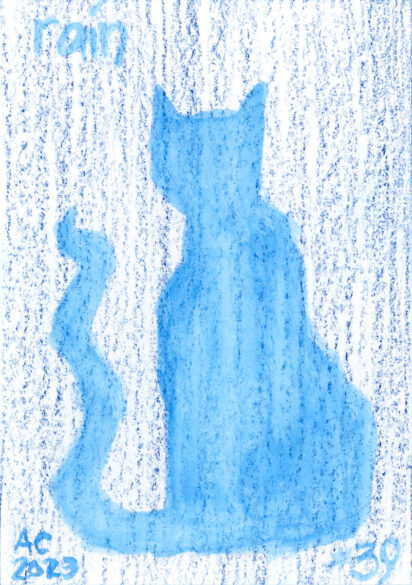 the outline of a blue cat in the rain