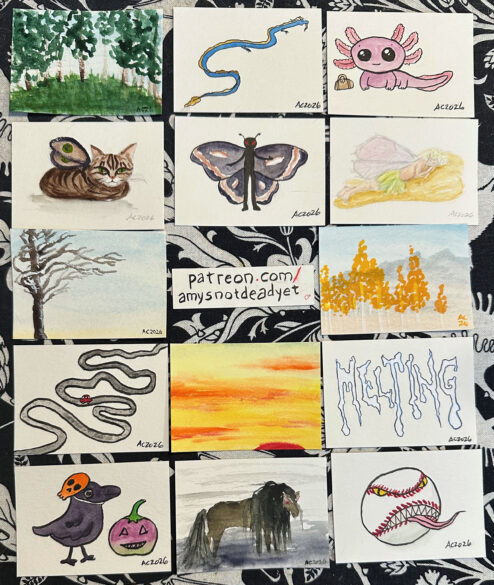 14 sketch cards by Amy Crook